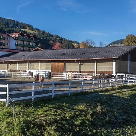 Apartment Hohe Salve *